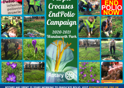 Collage of the Purple Crocus Rotary Wheel Wandsworth Park
