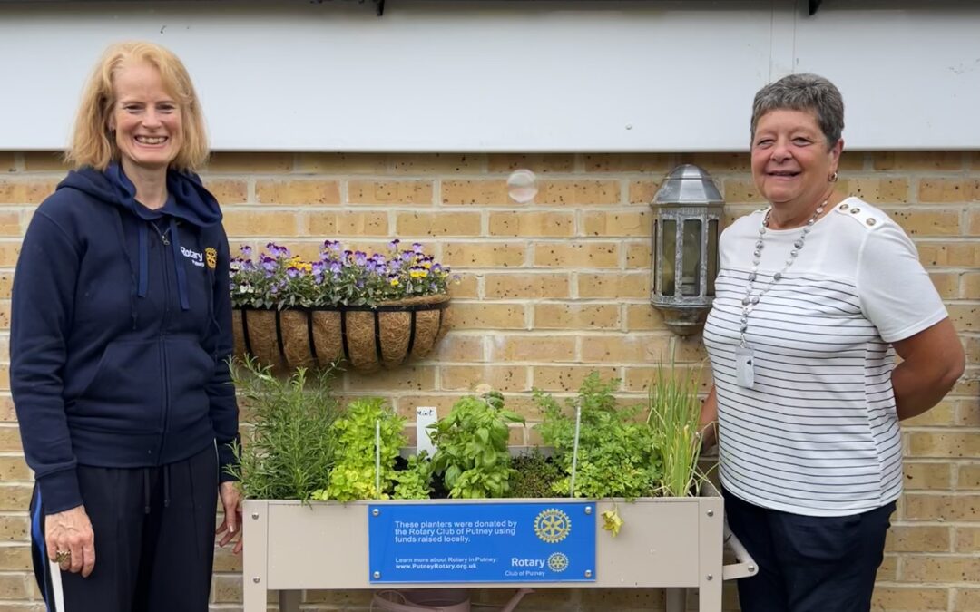 Ashmead Planters